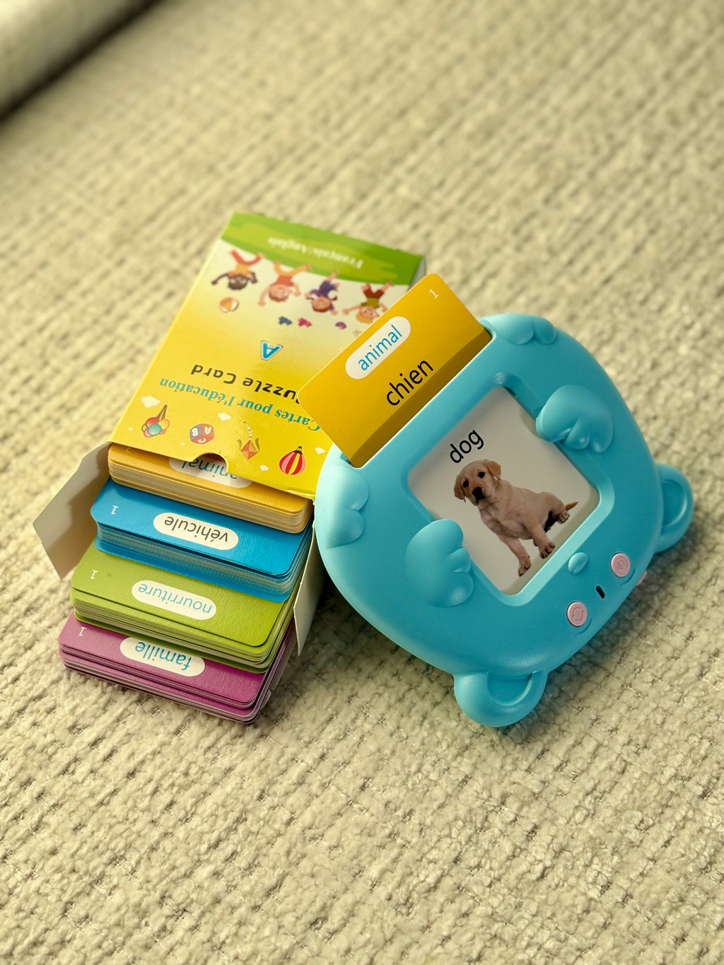 Flashcards parlantes - Français & Anglais