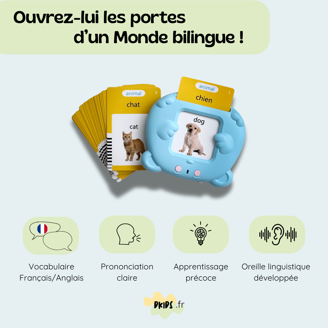 Flashcards parlantes - Français & Anglais
